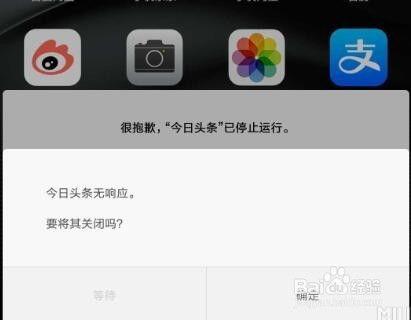 头条小程序打开游戏闪退,头条小程序游戏闪退问题解析与解决攻略
