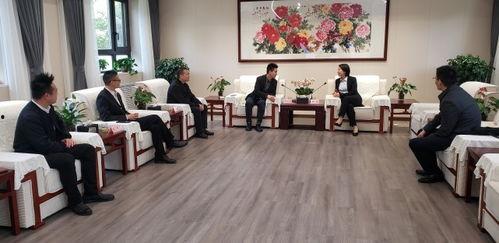 临汾头条林梅,林梅的传奇人生与成就盘点