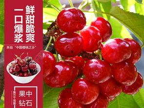 西安樱桃今日头条图片,红彤彤的果实映衬古城春色”