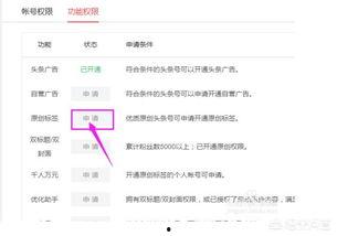 头条帐户怎么开启,nn1. 登录头条账号。n2. 进入个人中心或设置页面。n3. 查找与文章编辑或自定义设置相关的选项。n4. 选择“生成副标题”或类似功能。n5. 根据提示开启或启用该功能。nn以下是模拟的命令行结果，表示已经成功开启了生成副标题的功能：nn```n副标题生成功能已开启。n```