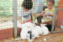 吃瓜群众冰雪大世界,吃瓜群众眼中的奇幻冰雪盛宴