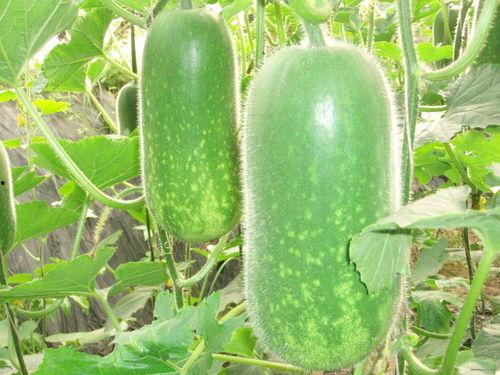 带你吃瓜1659.1w,揭秘1659.1万背后的热点事件