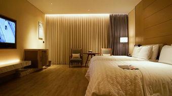 惠州网红浴缸酒店,沉浸式浪漫体验，解锁城市新地标