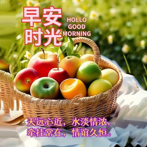 网红早安符号,唤醒美好一天的神奇力量