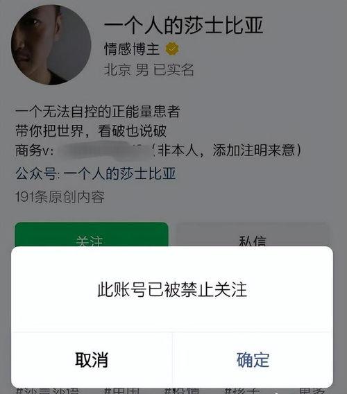 各网红起底,探寻网络红人的成长轨迹