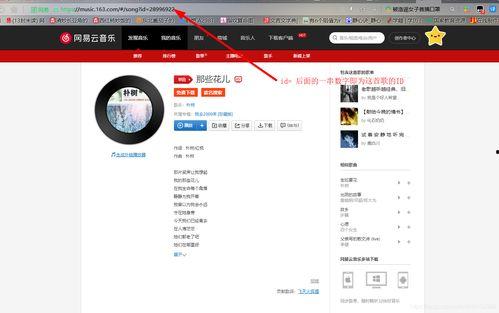 图片在头条怎么添加音乐,为你的头条图片增添动感旋律