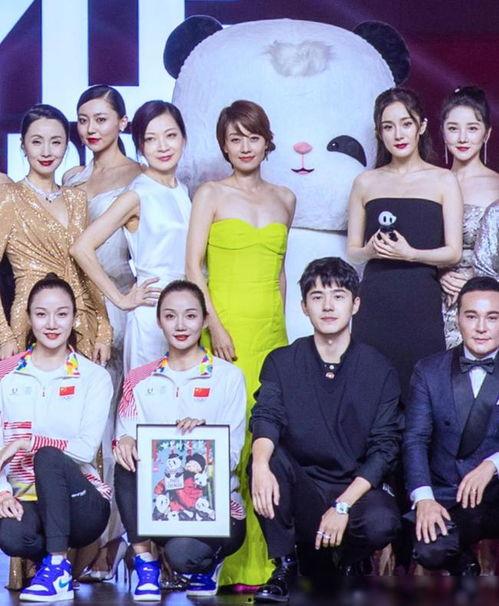 明星大合影高清,明星大合影高清全景解析