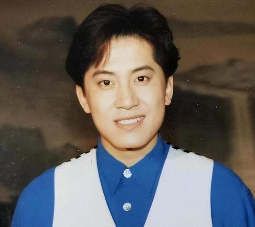 毛宁明星,音乐传奇，青春记忆的永恒旋律