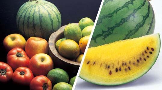 孕妇可以吃黄心瓜,黄心瓜助力母婴健康