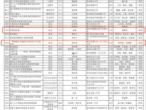 青少年网红项目名称,青少年网红项目引领潮流新篇章