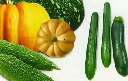 什么瓜吃皮肉,揭秘传统美食的神奇转化