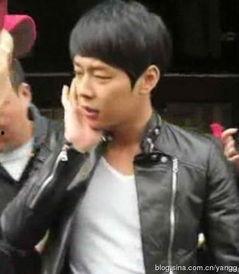 韩国明星巴掌是谁,揭秘背后真相与影响