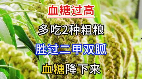 血糖高吃怎样的二甲双瓜,二甲双胍辅助下的饮食调养策略