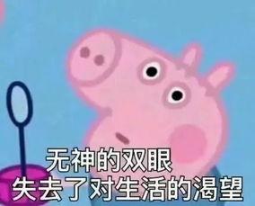 啊哈 祁醉头条,揭秘祁醉最新动态，带你领略娱乐圈风云变幻