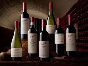 葡萄酒最新爆料视频播放,最新爆料视频带你领略神秘酒庄风采