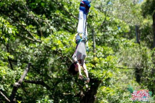 明星去蹦极,高空蹦极惊险瞬间