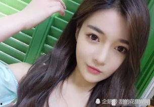 zqy哪个网红的名字,从网络红人到影响力巨星的蜕变之路