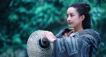 明星潜规皇舒畅,舒畅的娱乐圈生存法则揭秘