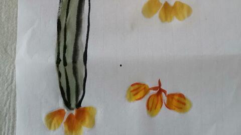 瓜老师绘画教程,轻松掌握绘画技巧的秘籍解析